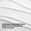 Redken AcidicColor Gloss Condicionador 300ml